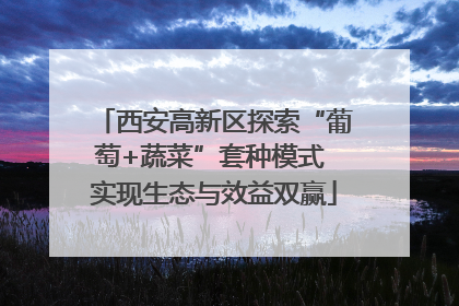 西安高新区探索“葡萄+蔬菜”套种模式 实现生态与效益双赢